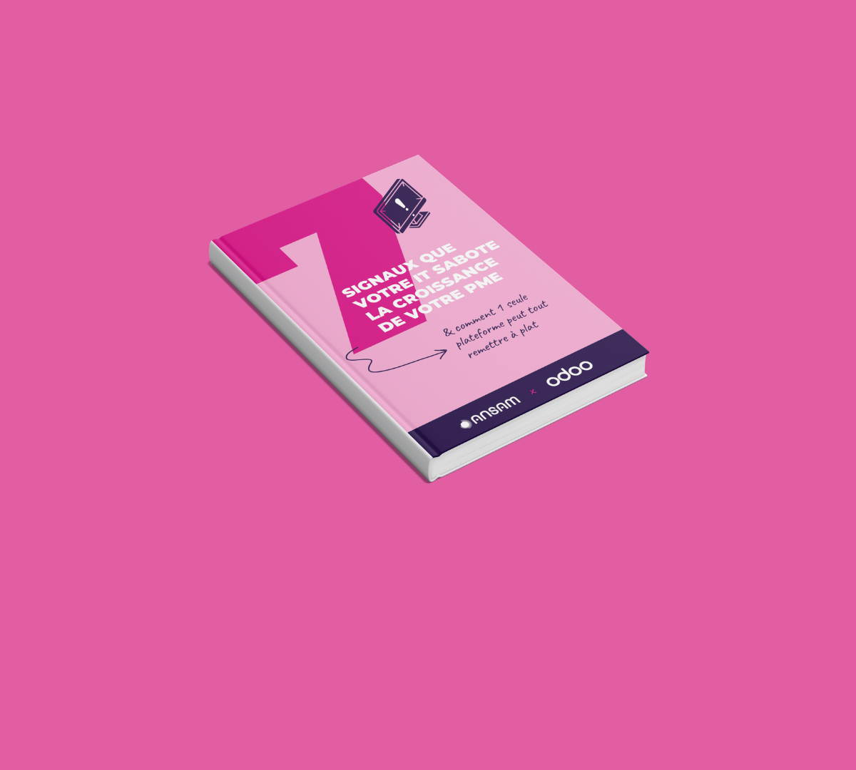ANSAM guide: should you move to an Odoo ERP for your SME