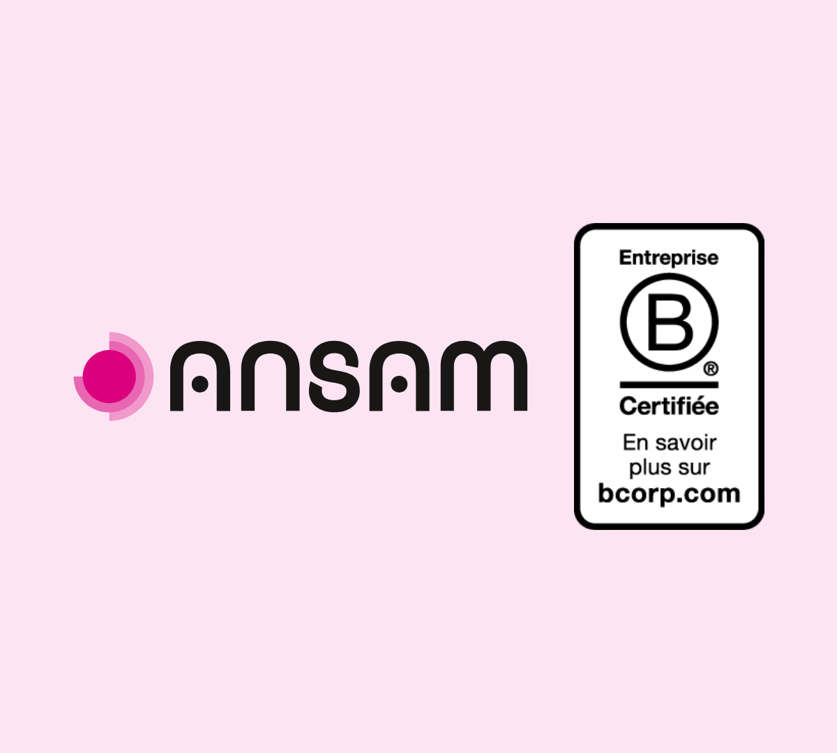 ANSAM Certification B Corp 
