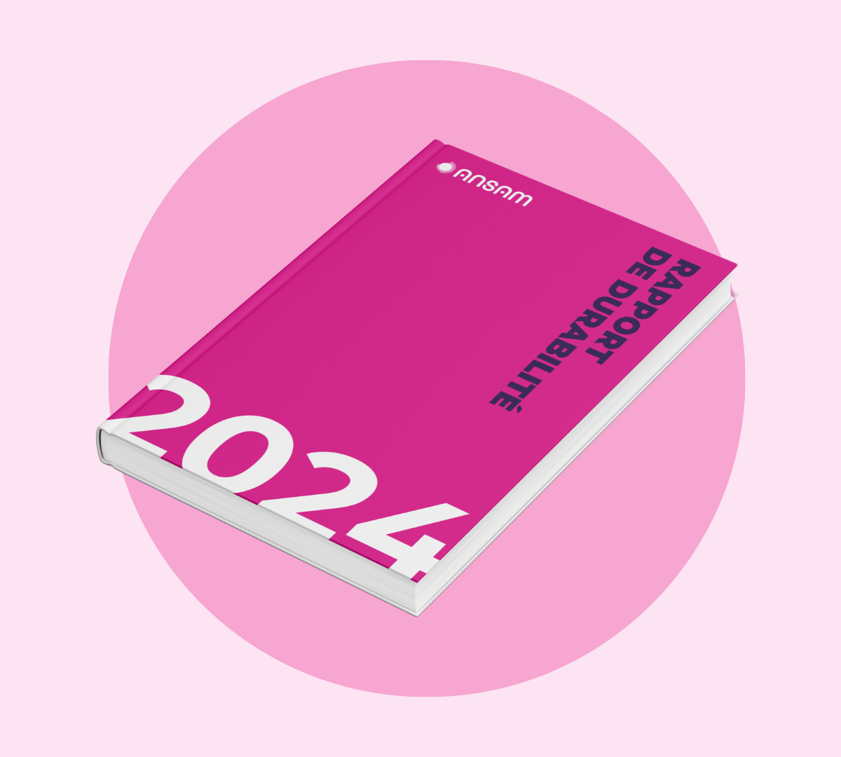 ANSAM - Rapport de durabilité 2024
