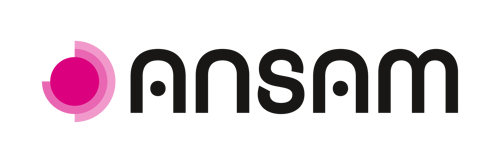 IT Company in Romandy | IT + AI | ANSAM