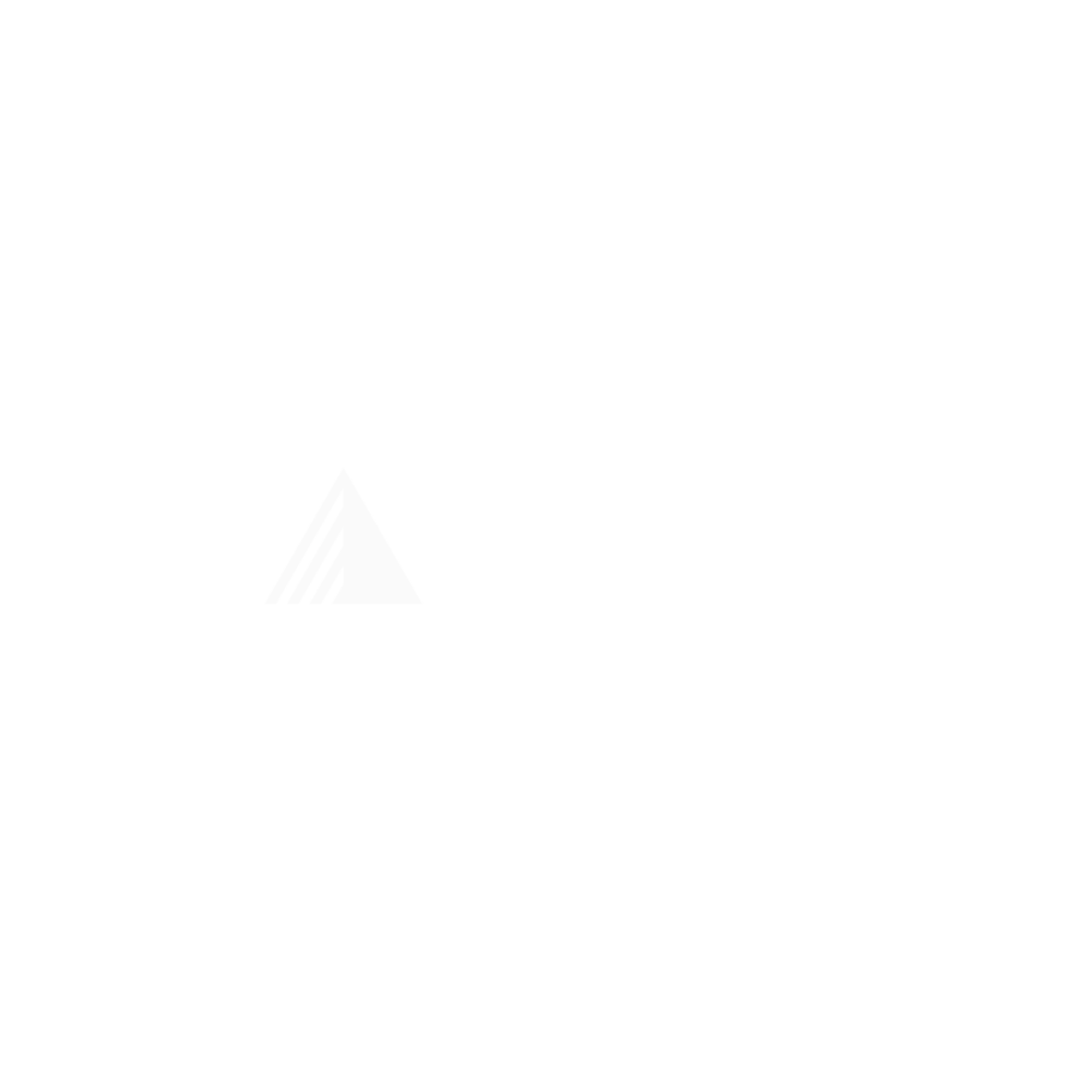 Logotype Exoscale