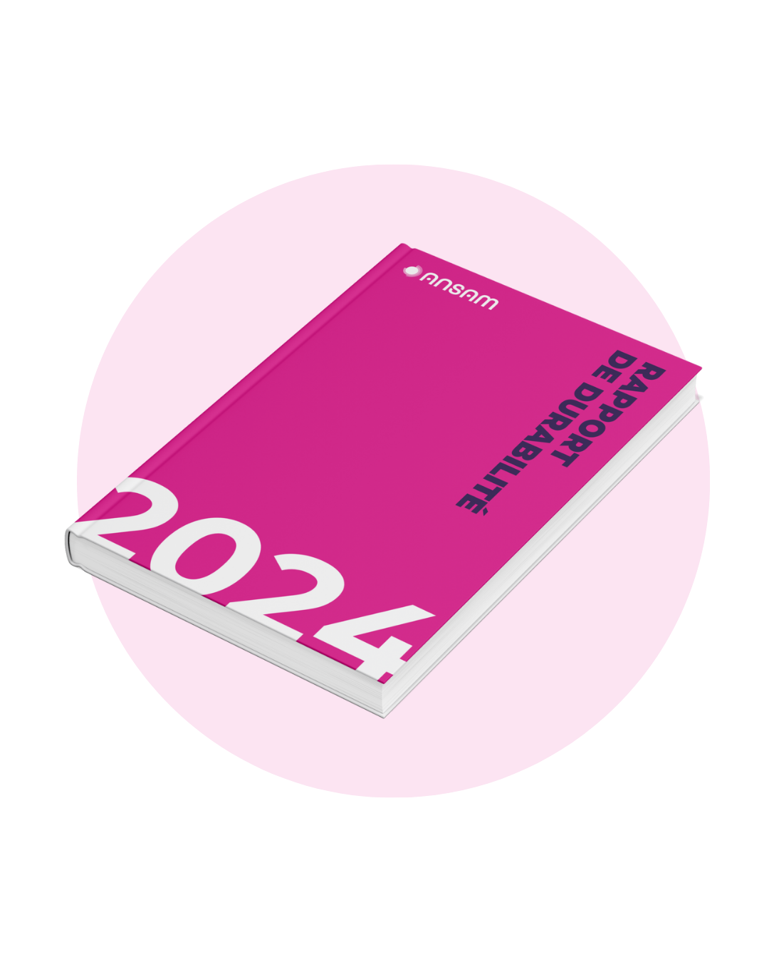Rapport de durabilité 2024
