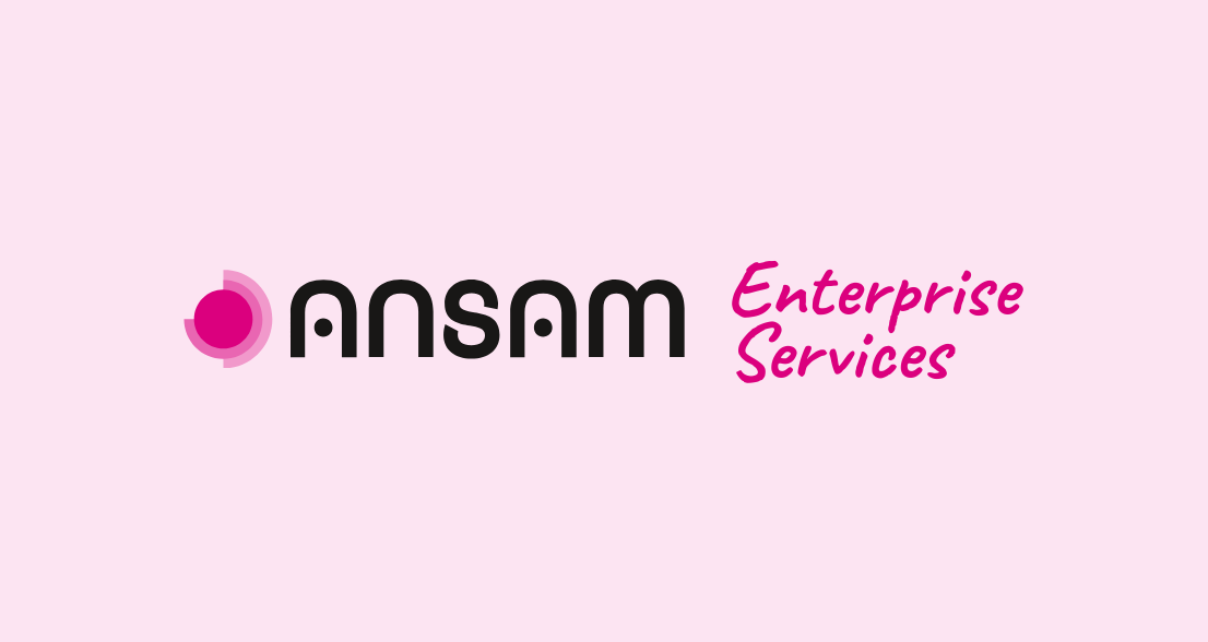 ANSAM Enterprise Services